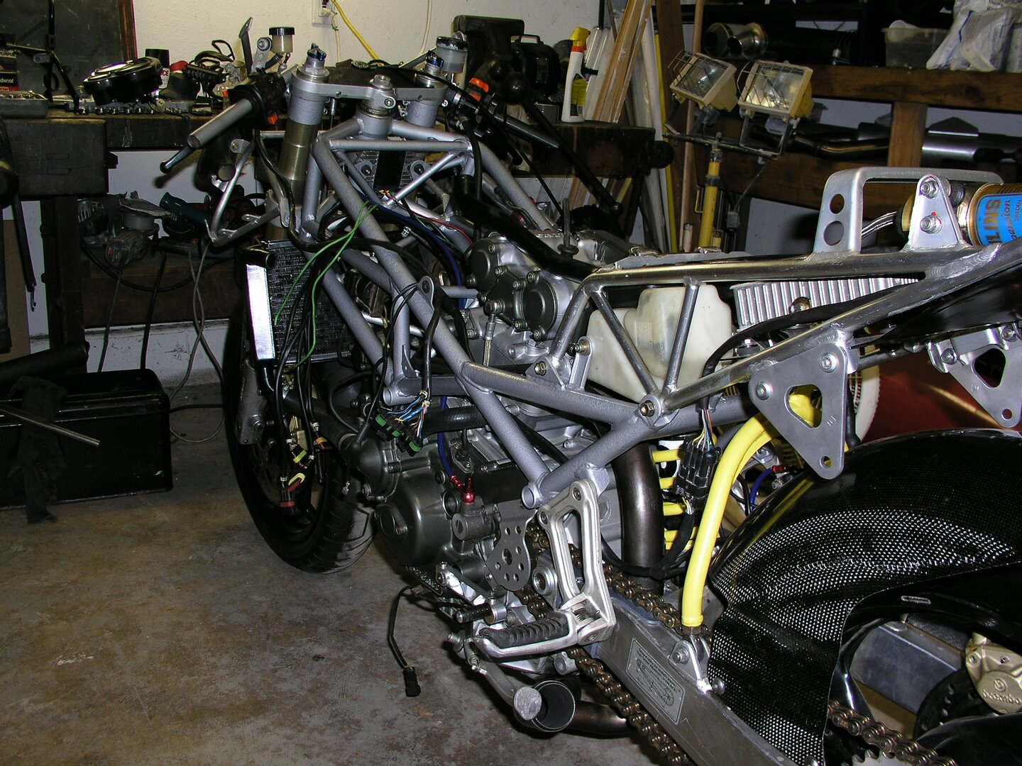 P5300003.JPG