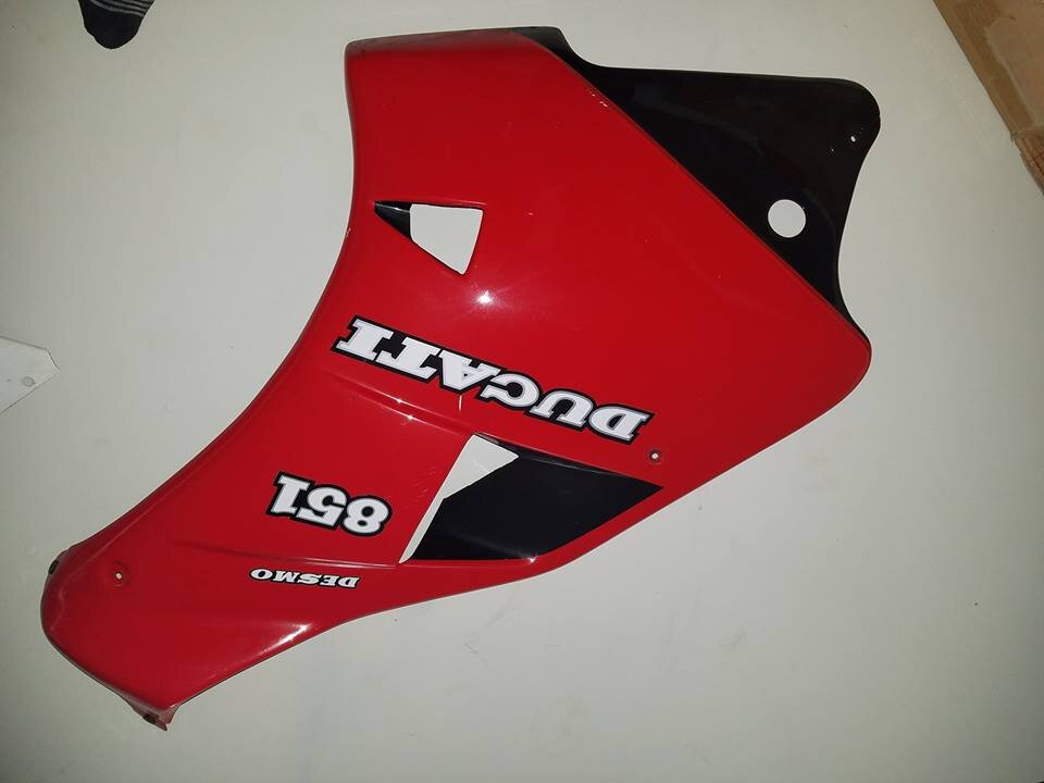 Shark11.jpg