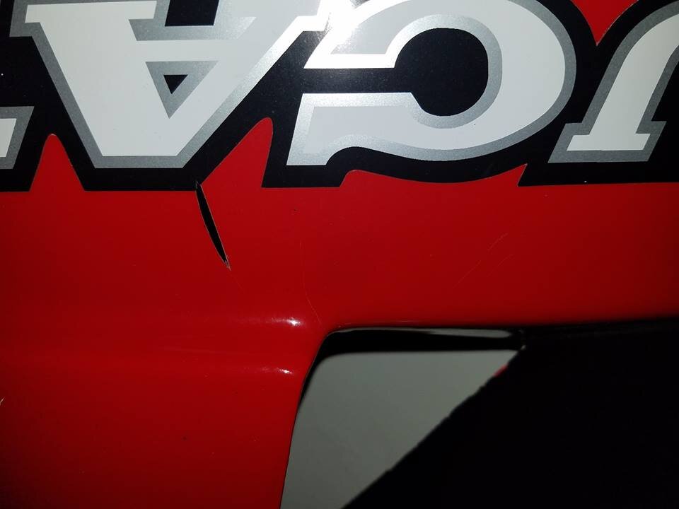 Shark12.jpg