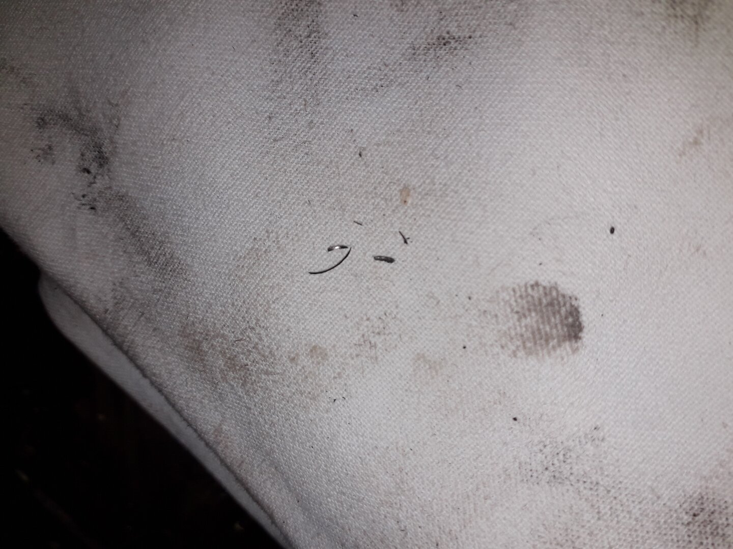 20201122_195739.jpg